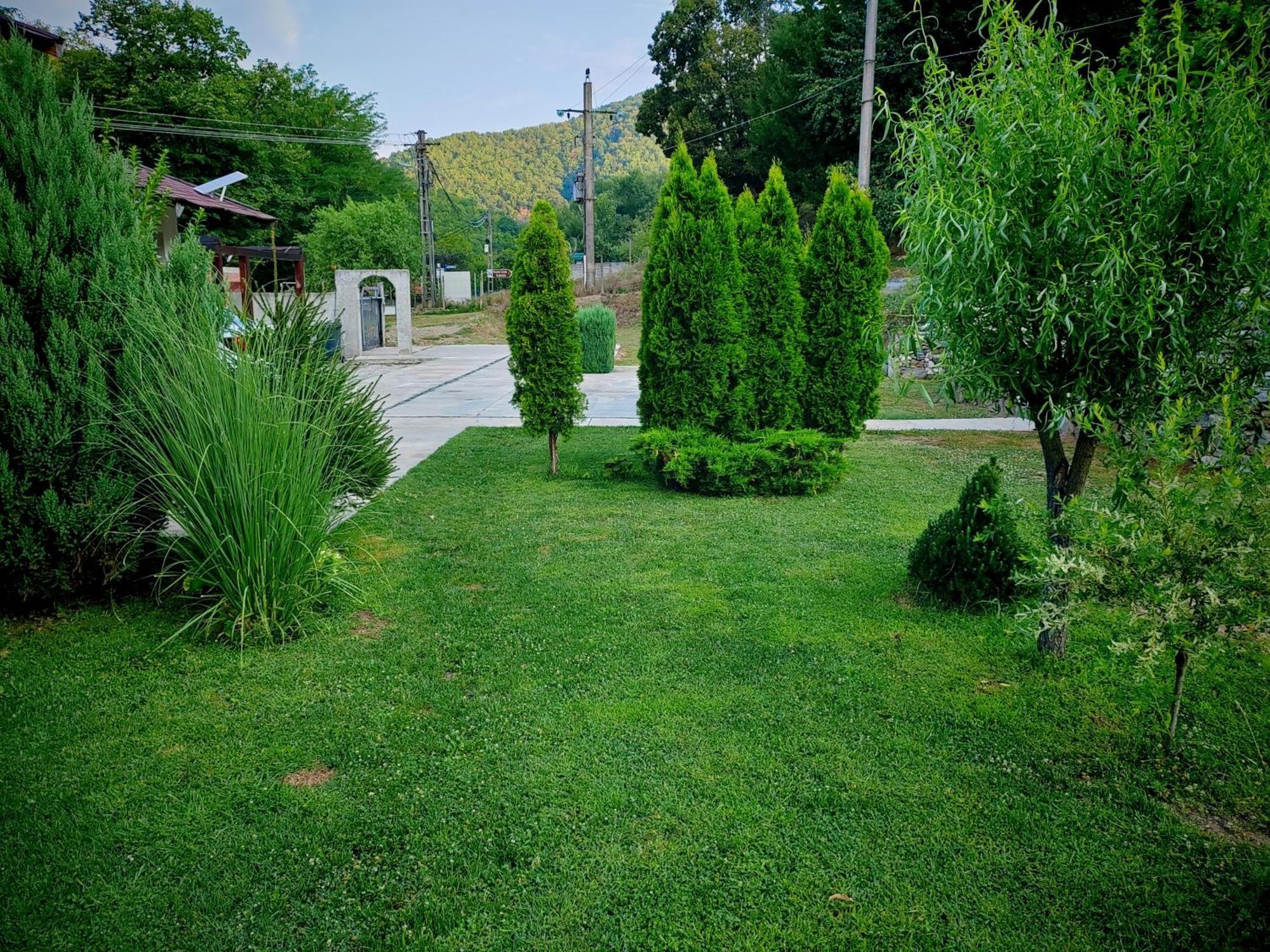Taverna Gradetului Schitu Topolnitei Luaran gambar